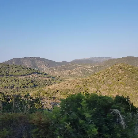 La Dolce Vita Tatil Evi *
